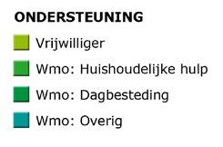 Patiënten konden meedoen als zij voldeden aan de selectiecriteria. Twaalf ouderen namen deel aan het onderzoek. 5 Gesprekken met ouderen Inspecteurs spraken eerst met deze twaalf ouderen.