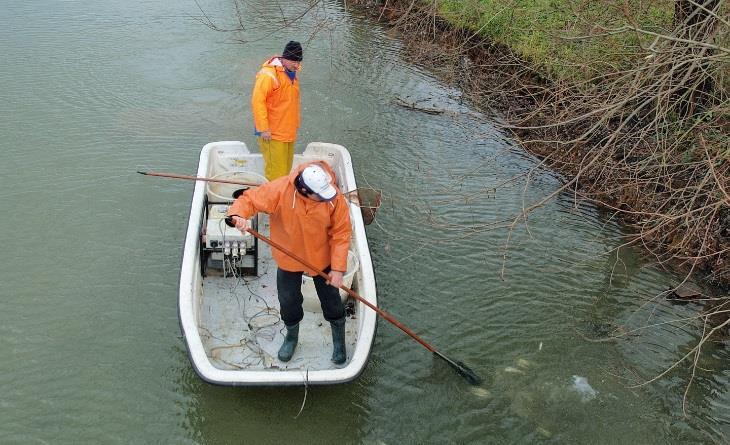 Voor elk watertype is een beoordelingstabel opgesteld waaruit de score volgt uit het gevonden aantal van deze soorten.