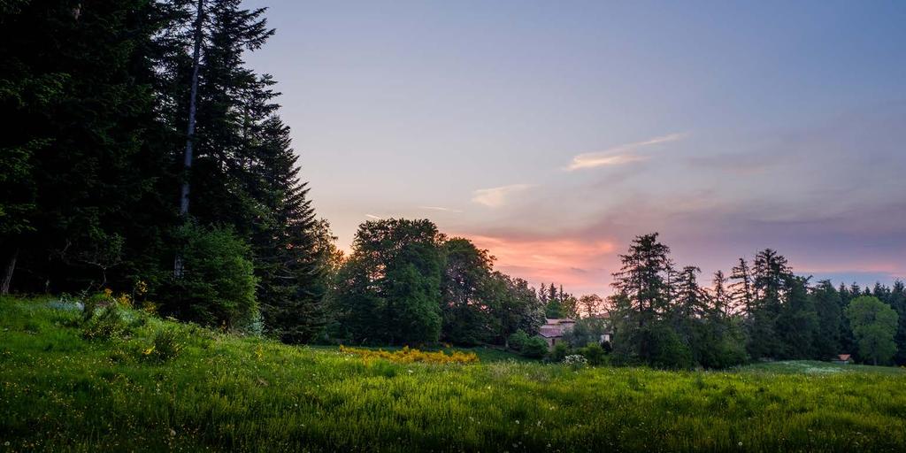 10 Het landgoed Folgoux, met het Chateau verscholen achter de bomen.