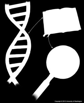 beschreven door Fred Sanger, waarmee de volgorde van korte stukken DNA (ongeveer 200 nucleotiden) konden worden bepaald.