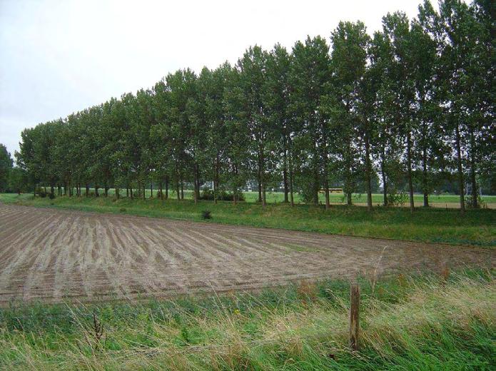 In het landschap zijn nog heel wat historisch relevante landschapselementen aanwezig. Het gebied ten zuiden van s Heer Arendskerke is een agrarisch gebied.