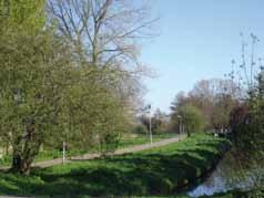 Zuiderpolder het liefst een BEHEER ORGANISATIE LANDSCHAP SPAARNWOUDE Participatie Parkeren Reinaldahuis Tijdens de Participatieavond Parkeren Reinaldahuis op 22 maart jl.