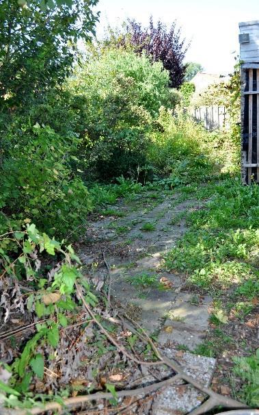 stallen of er een heerlijke tuin van te maken