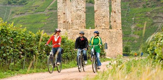 MOEZELFIETSPAD De koningin van de premiumfietsroutes in het Moezelland begint in het Franse Thionville en eindigt 275 kilometer verderop in het Duitse Eck in Koblenz of omgekeerd, indien men in