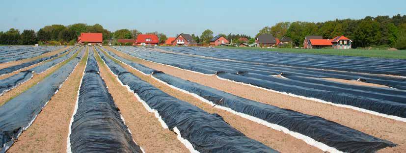 1 Wet aanpak schijnconstructies: ken uw risico s en verplichtingen De Wet aanpak schijnconstructies (WAS) moet ervoor zorgen dat iedereen die in Nederland werkt, ook daadwerkelijk het loon krijgt