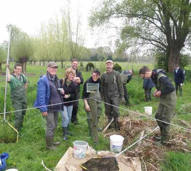 Nieuw leefgebied voor de grote modderkruiper In Aarle-Rixtel is in 2015 met Stikagelden een weilandje omgevormd tot een waar paradijs voor amfibieën, libellen, struweelvogels en een wel heel