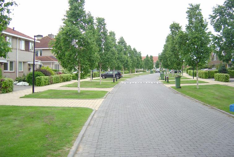 Er kan ook plaats gemaakt worden voor solitaire bomen of beplantingsvakken binnen de zone voor het parkeren om het woonkarakter van de straten te versterken.