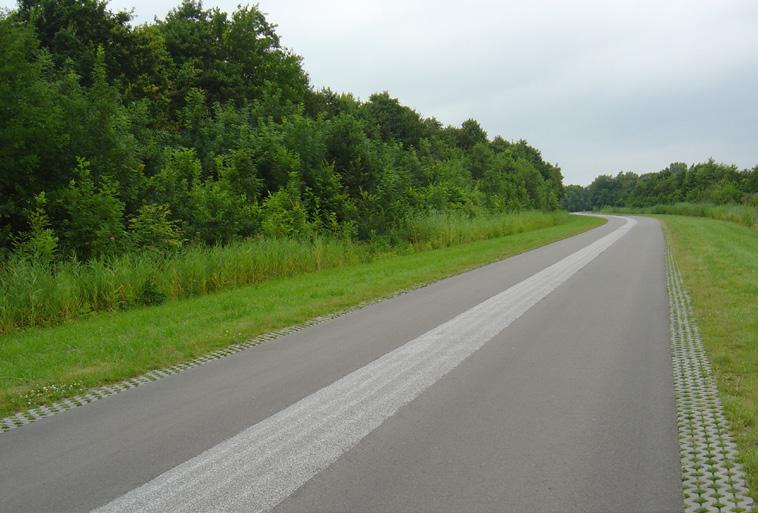 Woonerf Bij een beperkt profiel in het centrum of een rustige woonstraat bij nieuwe inbreidingsprojecten kan het profiel ingericht worden als een woonerf.