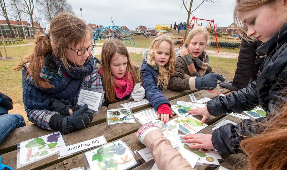 2.2.1 Groene schoolpleinen Samen met onze partners werken we aan de ambitie Alle Overijsselse schoolpleinen groen in 2025.