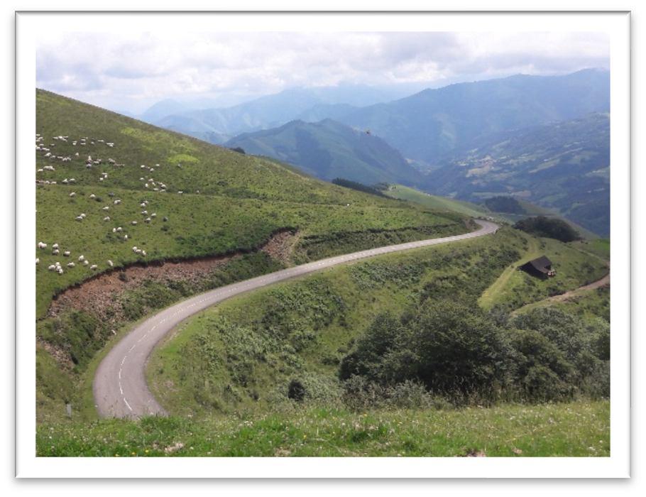 Het landschap van het eerste traject is heel gevarieerd. Tot kort voor Rocamadour interessant met veel vervallen kastelen, meren, wijds uitzicht en frisgroen en ook schaduwrijk.