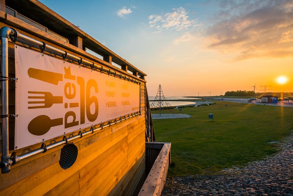 Strand arrangementen Voel de frisse polderwind door je haren tijdens het