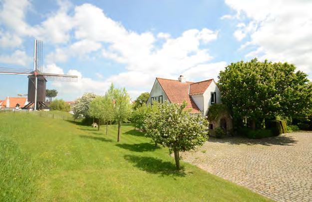 Magnifique jardin ensoleillé avec terrasse et vue sur le Vieux Moulin. Garage et plusieurs empacements de parking à l extérieur.