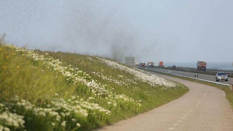 Zelfs de Afsluitdijk (bijna 30 km lang tussen zee en meer) is