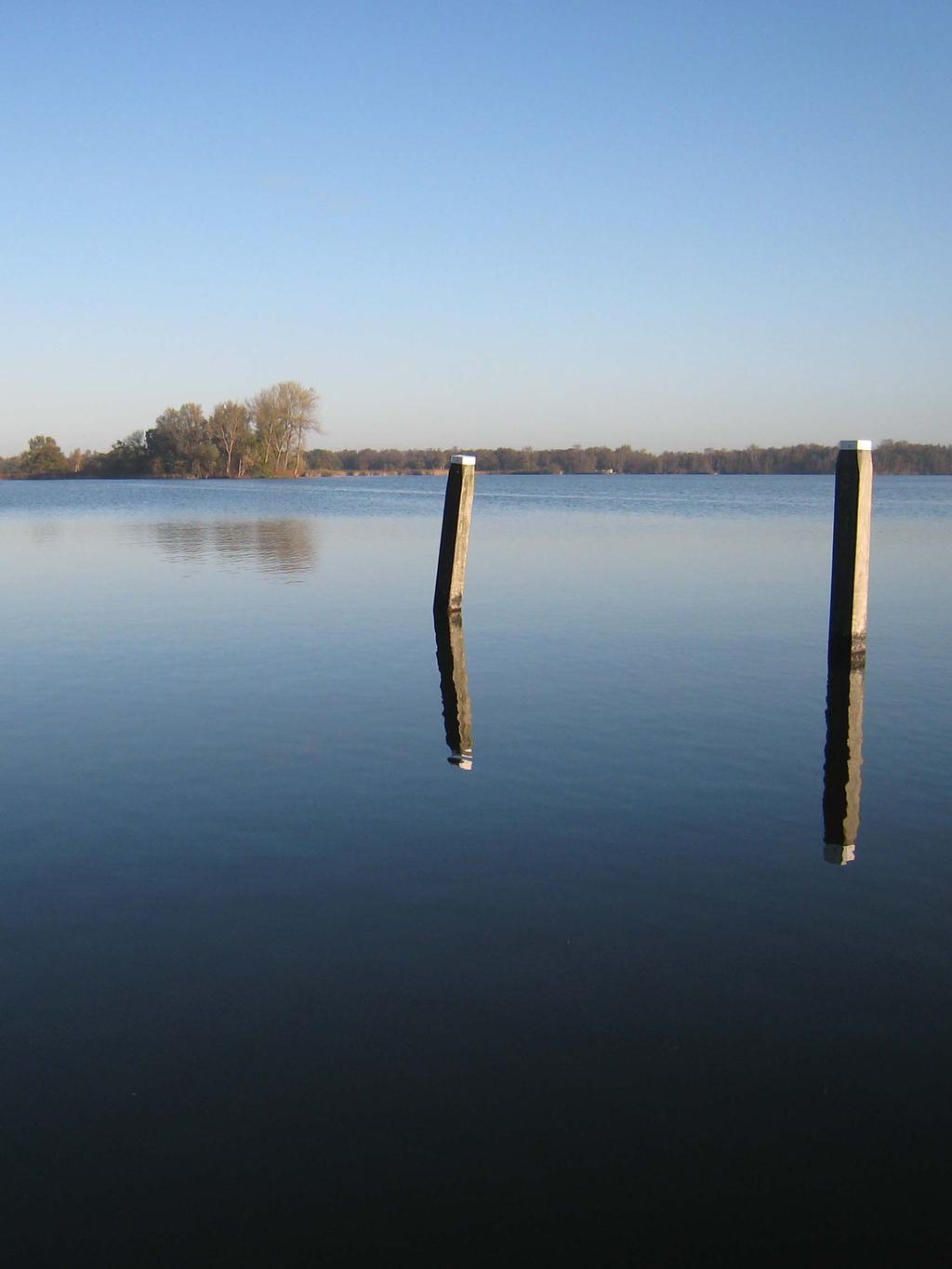 Ecologische processen in ondiepe meren en het effect van