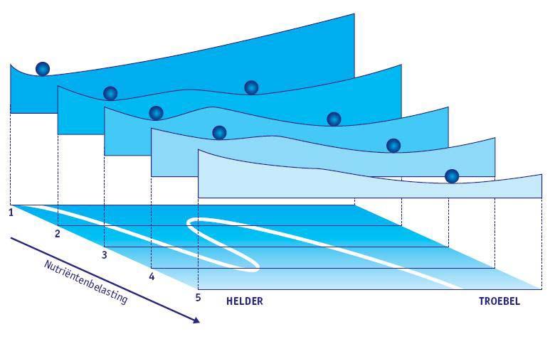Bij een lage en een hoge nutriëntenbelasting is maar één stabiele toestand mogelijk, respectievelijk helder en troebel.
