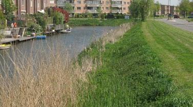 Centraal gelegen in de wijk heeft de parkzone een belangrijke ontmoetingsen recreatieve functie.