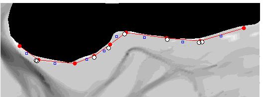 Ameland 0 1 2 3a 3b 4 5 6 Figuur 3.1: Locatie midden van elke dijkvak (zie blauwe rechthoeken) en maximum van elk dijkvak (witte cirkels). 3.2 Standaard dijkprofiel Tabel 3.