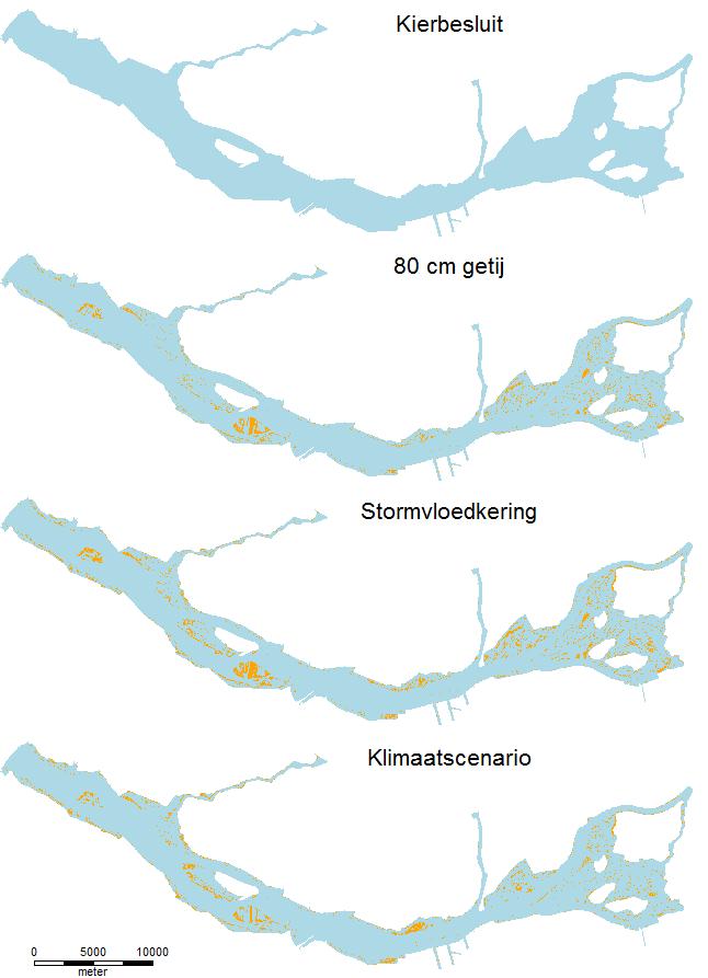 en Figuur 75 (detailuitsnede oostelijk deel Haringvliet) van Bijlage 11 is te zien waar het potentieel nieuwe intergetijdengebied voor in de plaats komt (terrestrisch dan wel open water in de huidige
