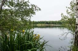 Avontuurlijk speelpark Koddige Kater geopend Met de heraanleg van het speelterrein de Koddige Kater trokken de gemeente Duffel en Regionaal Landschap Rivierenland resoluut de kaart van avontuurlijk