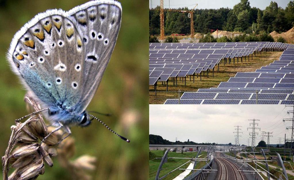 Milieubeleidsplan Overbetuwe 2011-2014 Onderdelen: Milieukompas