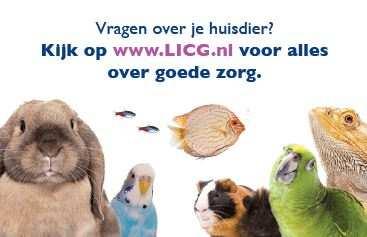 aanschaffen of verzorgen van huisdieren. Om aan deze wens tegemoet te komen hebben we representatieve kaartjes ontwikkeld met ons website-adres.