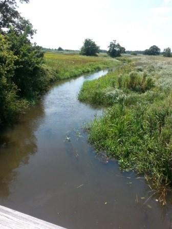 (Markdal ter hoogte van Meersel dreef) Voorbeeld hoofdstroom, nevenstroom Drentse Aa Contact mogelijkheden met water realiseren: Aanpassing oevers Minder hoogteverschil