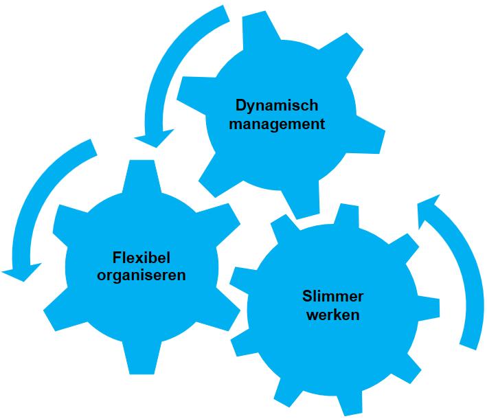 Adviesrapport Kritische succesfactoren sociale innovatie binnen MKB