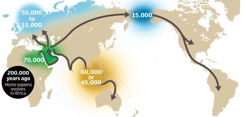 geleden: eerste mens Afrika De mens trok vanuit Afrika de wereld in Tarwezaden waren voedzaam Wilde tarwe In die natuur groeiden ook allerlei