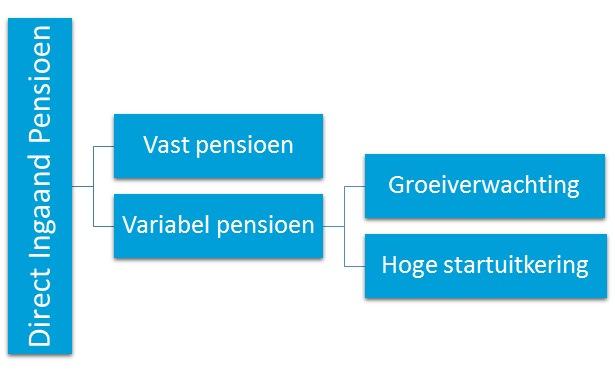 In deze brochure leest u wat het Direct Ingaand Pensioen is, hoe het werkt en wat de acceptatievoorwaarden zijn.