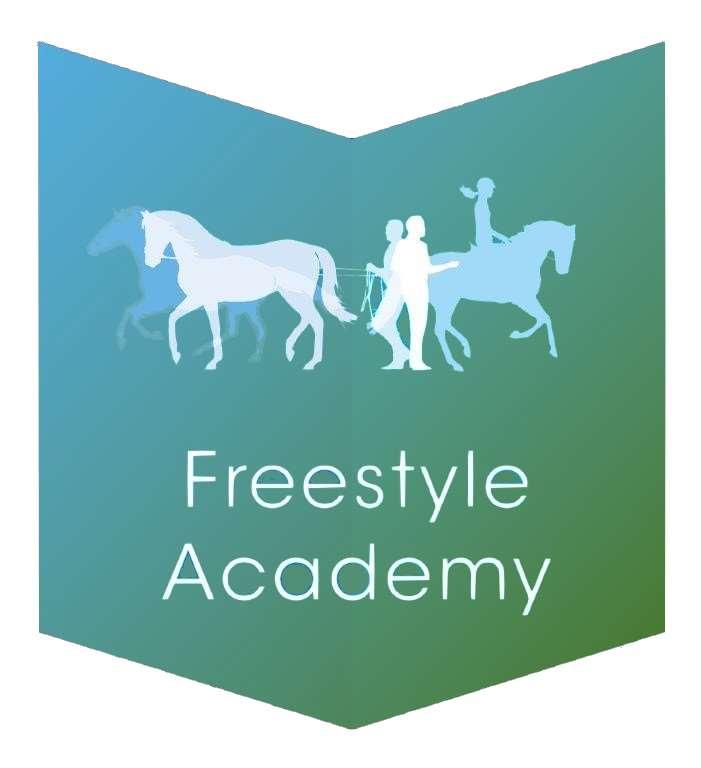 De Freestyle Academy is een opleidingscentrum met een missie. Deze missie richt zich op het opleiden van vakmensen, die kennis van zaken hebben en hun technieken onder de knie hebben.