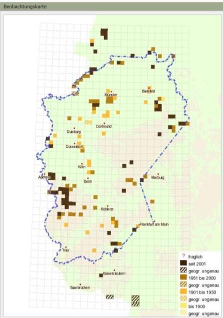 Rekolonisatie Heideblauwtje -Wiederbesiedlung Rekolonisatie vanuit andere Limburgse gebieden nihil. Bronpopulatie Brachterwald.