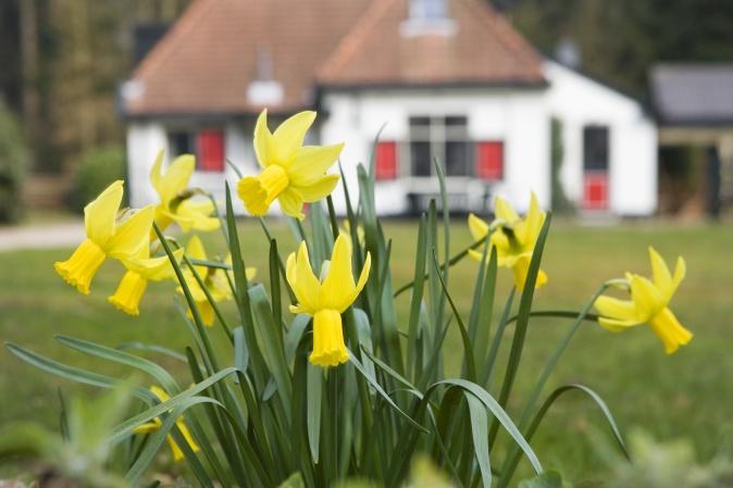 De ondergrond wordt als dan door de BV Landgoed Tongeren in erfpacht uitgegeven aan deze rechtspersoon voor commerciële recreatieve verhuur (CRV) tegen speciale condities.