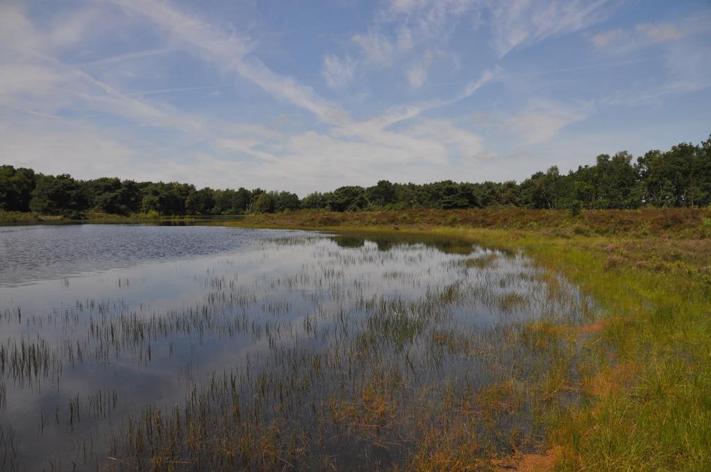 Bergvennen & Brecklenkampse Veld