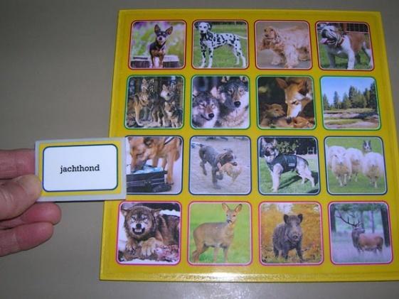 Spelen Haal een bingokaartje uit de grabbelzak of laat dat één van de kinderen doen.