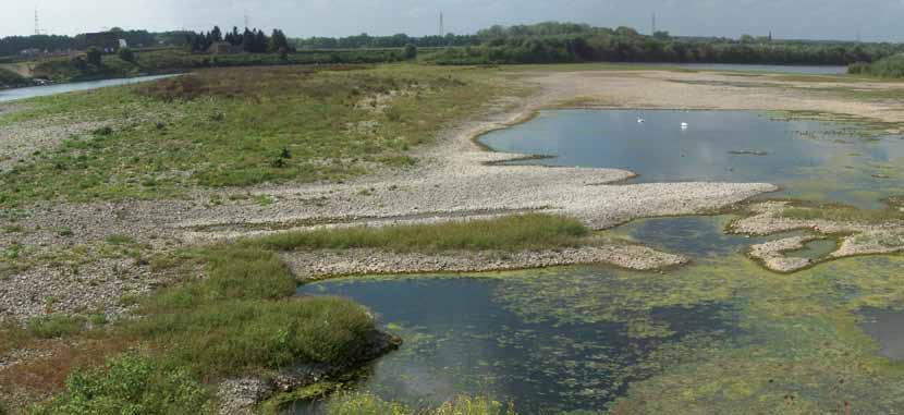 Inhoudelijke bewaking Het oorspronkelijke doel van het project is gaandeweg op de achtergrond geraakt.