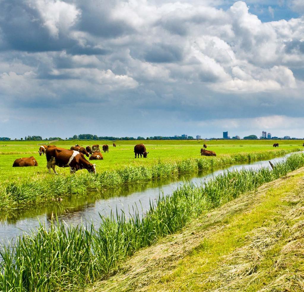 Vlaanderen is milieu Nutriënten in oppervlaktewater in landbouwgebied