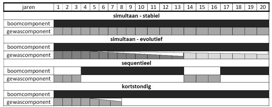 Agroforestry: wat is het?