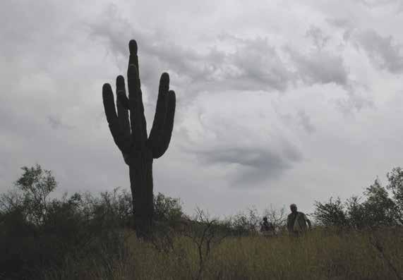 ondergetekende, met veel pijn en moeite op een vrijdagmiddag in Hermosillo aangekomen.