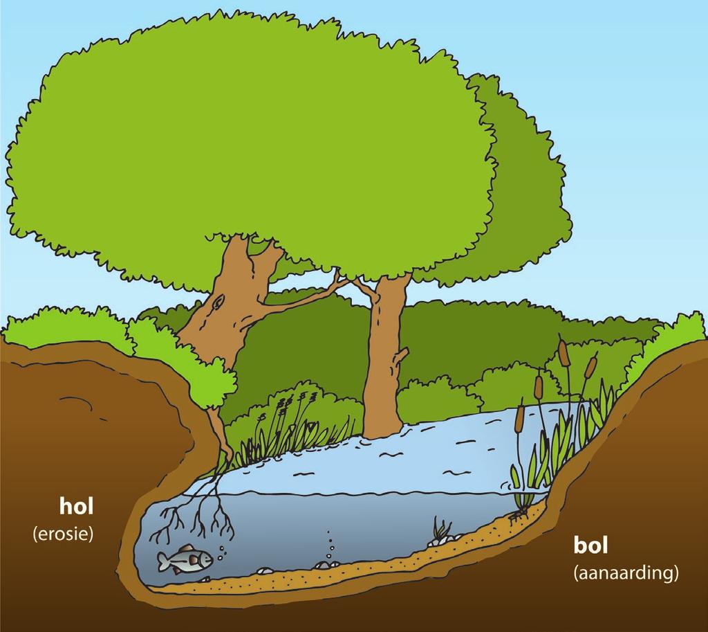 Opdracht 1: 4: rivieren meanders en kanalen in Vlaanderen Een natuurlijke rivier heeft bochten. We noemen ze ook wel meanders. Aan de holle oever, bij de buitenbocht, stroomt het water snel.