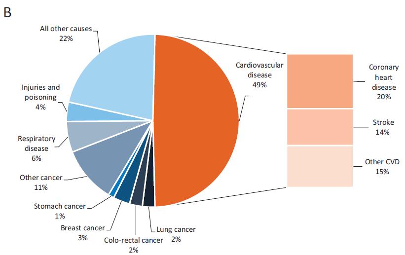 9% Other CVD 12% IHD 20%