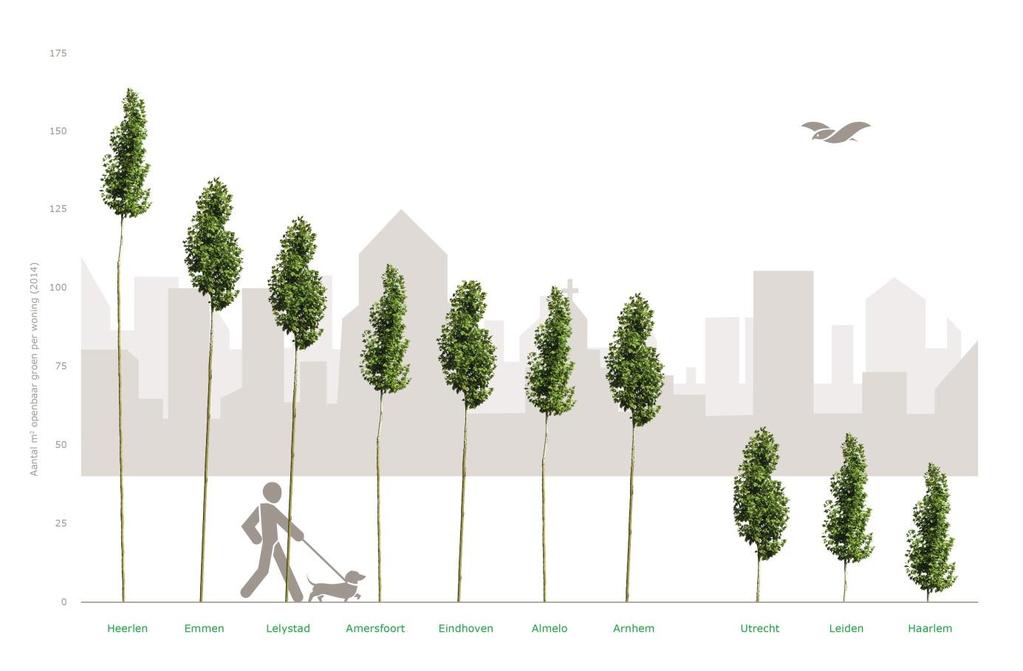 Ook uit extern onderzoek blijkt dat de totale hoeveelheid groen in de gemeente Haarlem relatief laag is in vergelijking met andere grote steden.