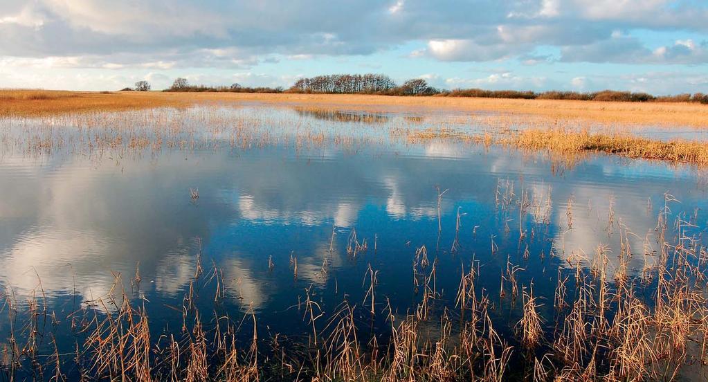 Deelproduct 5 Beheer- en onderhoudsplan Planstudie