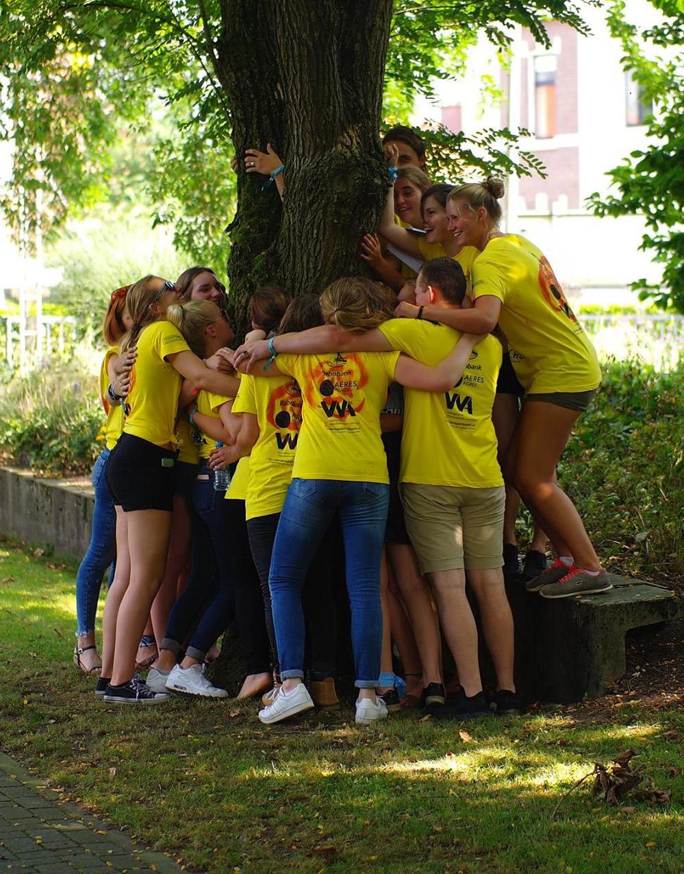 Een kampeer plekje op Landgoed Larenstein.