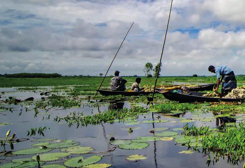 58 global development bundeling van nederlandse en bengaalse kennis Deltaplan Bangladesh Klimaatverandering noopt Bangladesh tot rigoureuze aanpak op het gebied van waterveiligheid en