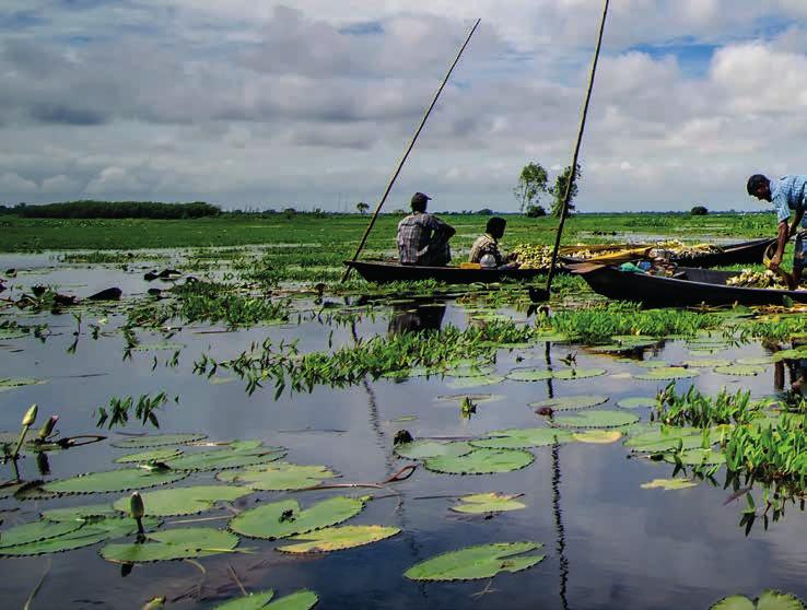 60 global development Hij was als civiel ingenieur eerder betrokken bij het Bangladesh Delta Plan. Zo n groot project wordt in ons eigen land vaak gezien als persoonlijke politieke prestige.