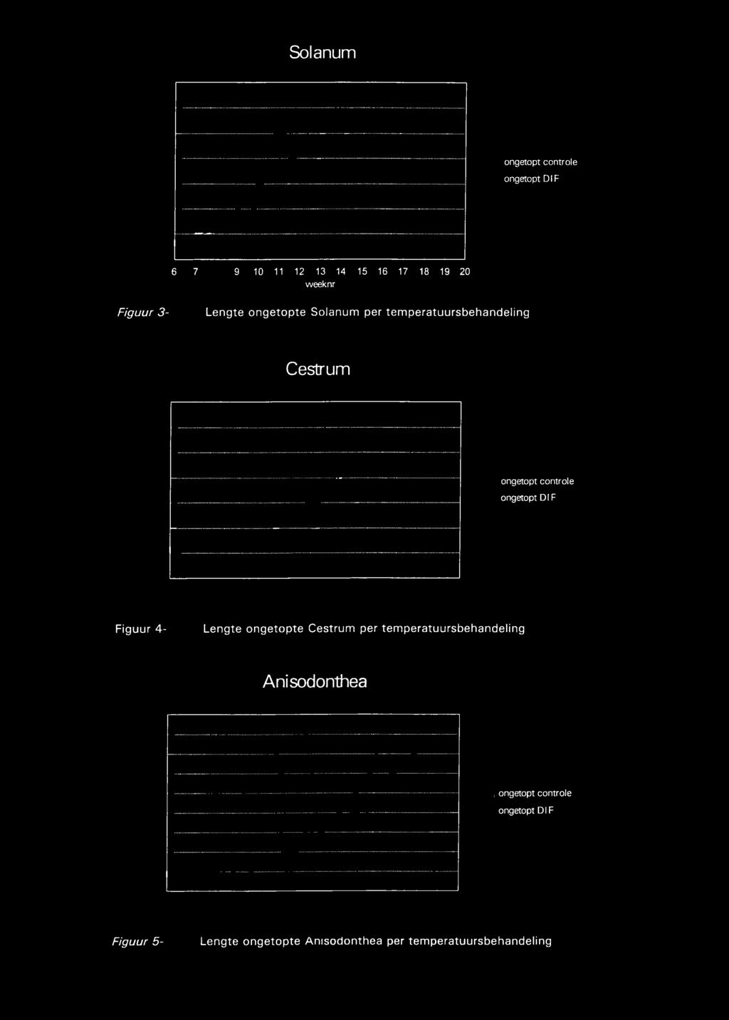 ongetopt Dl F Figuur 4- Lengte ongetopte Oestrum per temperatuursbehandeling Anisodonthea,