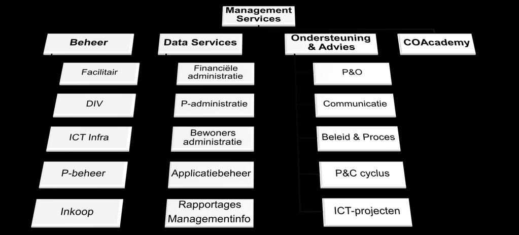 Organisatieschets