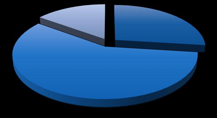 Geconsolideerde balans 6 De activa van de vennootschap bestaan voornamelijk uit : de voorraden van projecten in ontwikkeling voor een totaal bedrag van 606,6 MEUR, als volgt verdeeld: 164,4 MEUR voor