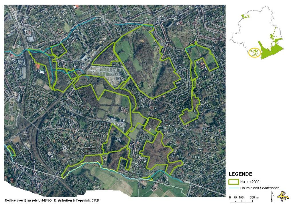 Bosgebieden en open gebieden in het zuiden van het Brussels Gewest (GCB II) Gebied van communautair belang (GCB), toekomstige Speciale Beschermingszone Opmerkelijke natuurwaarden : Ordonnantie van 1