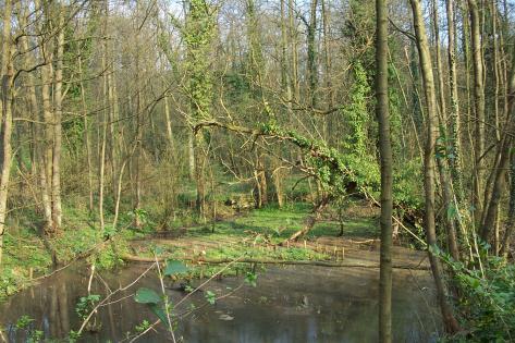 Op verschillende plaatsen vindt je relicten van dit gebruik. Dit uit zich zowel in de Flora als door vervallen brugjes en rotspartijen.